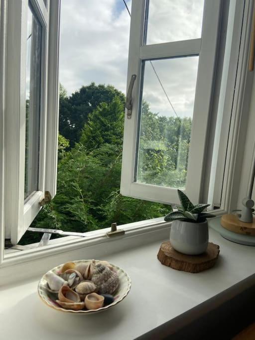 Stunning Views Of Ynyshir & Southern Snowdonia Machynlleth Exterior photo