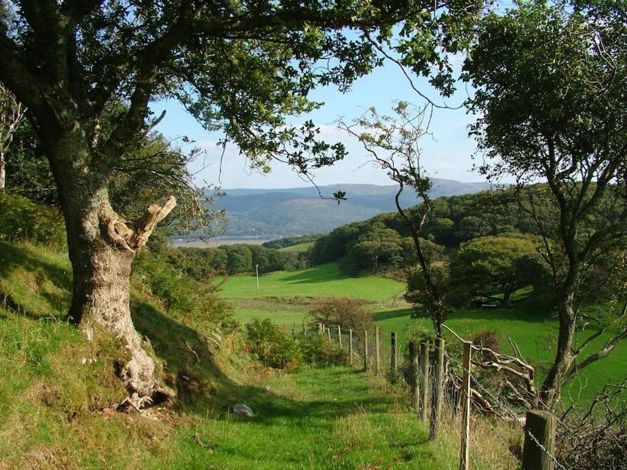 Stunning Views Of Ynyshir & Southern Snowdonia Machynlleth Exterior photo